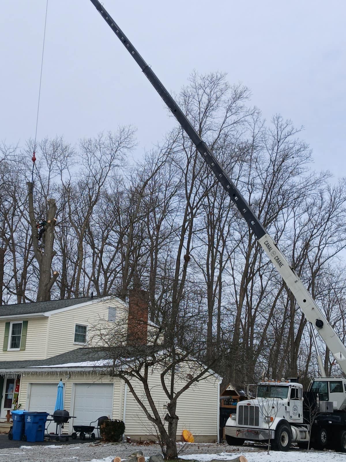 Crane-assisted tree removal